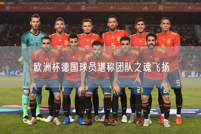 欧洲杯德国球员：团队之魂飞扬